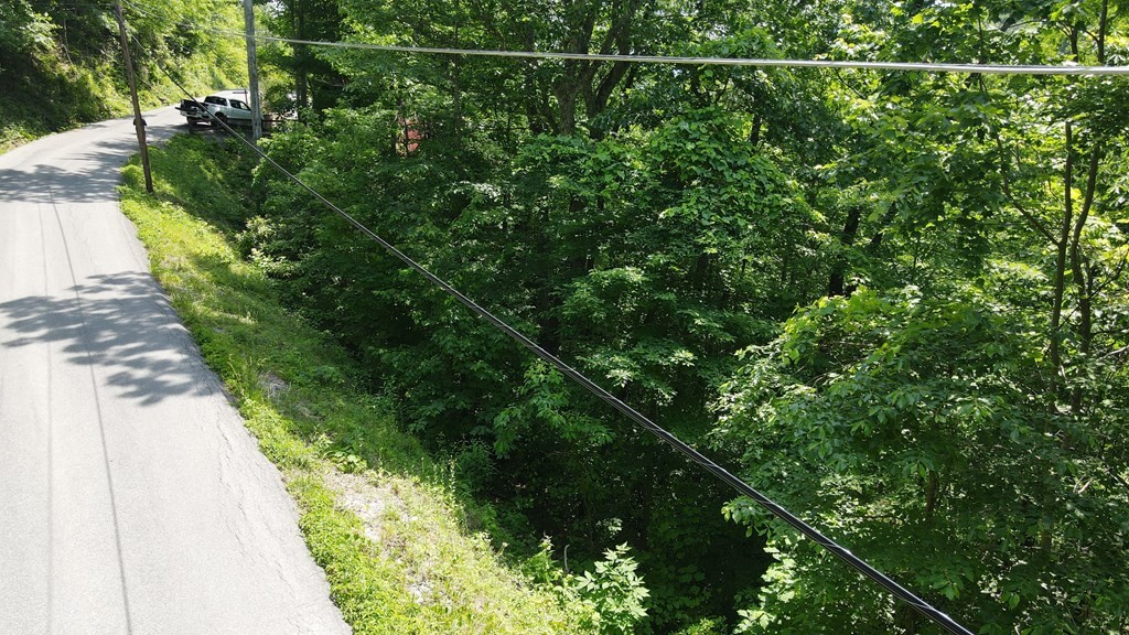0 Lower Alpine Way Gatlinburg, TN 37738 - Photo 6 of 7