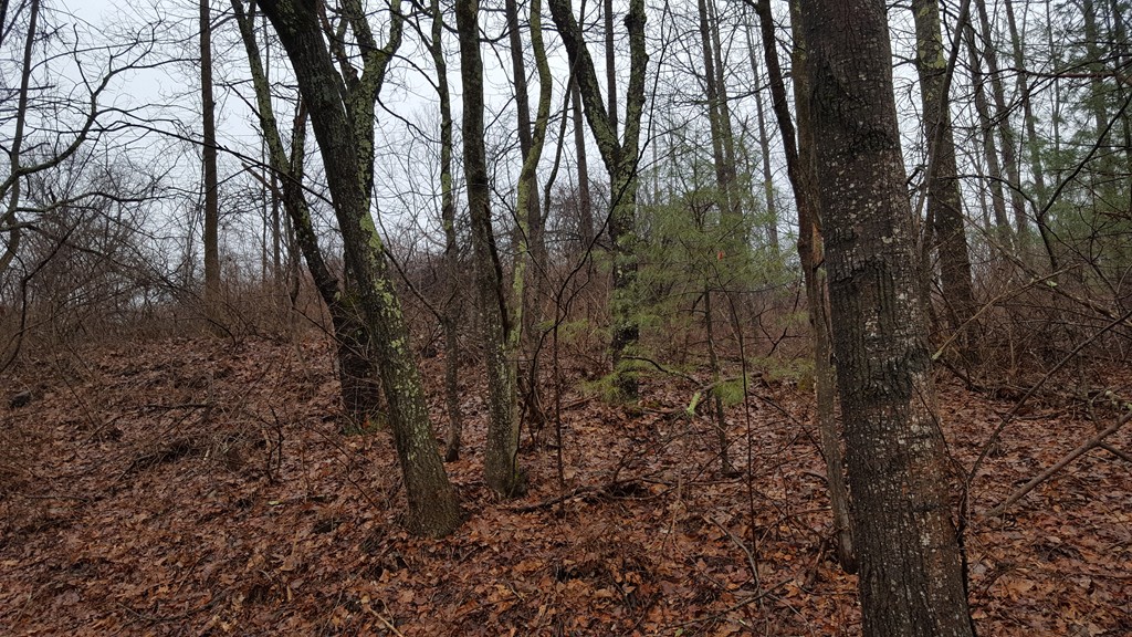 Lot3 Old Gilbertville Road Ware, MA 01082 - Photo 3 of 7