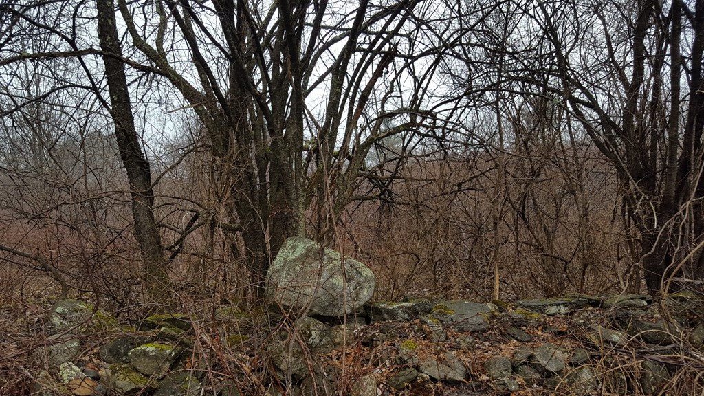Lot3 Old Gilbertville Road Ware, MA 01082 - Photo 5 of 7