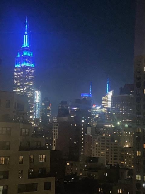 305 East 24th Street, Unit 19FGH Manhattan, NY 10010 - Photo 21 of 25