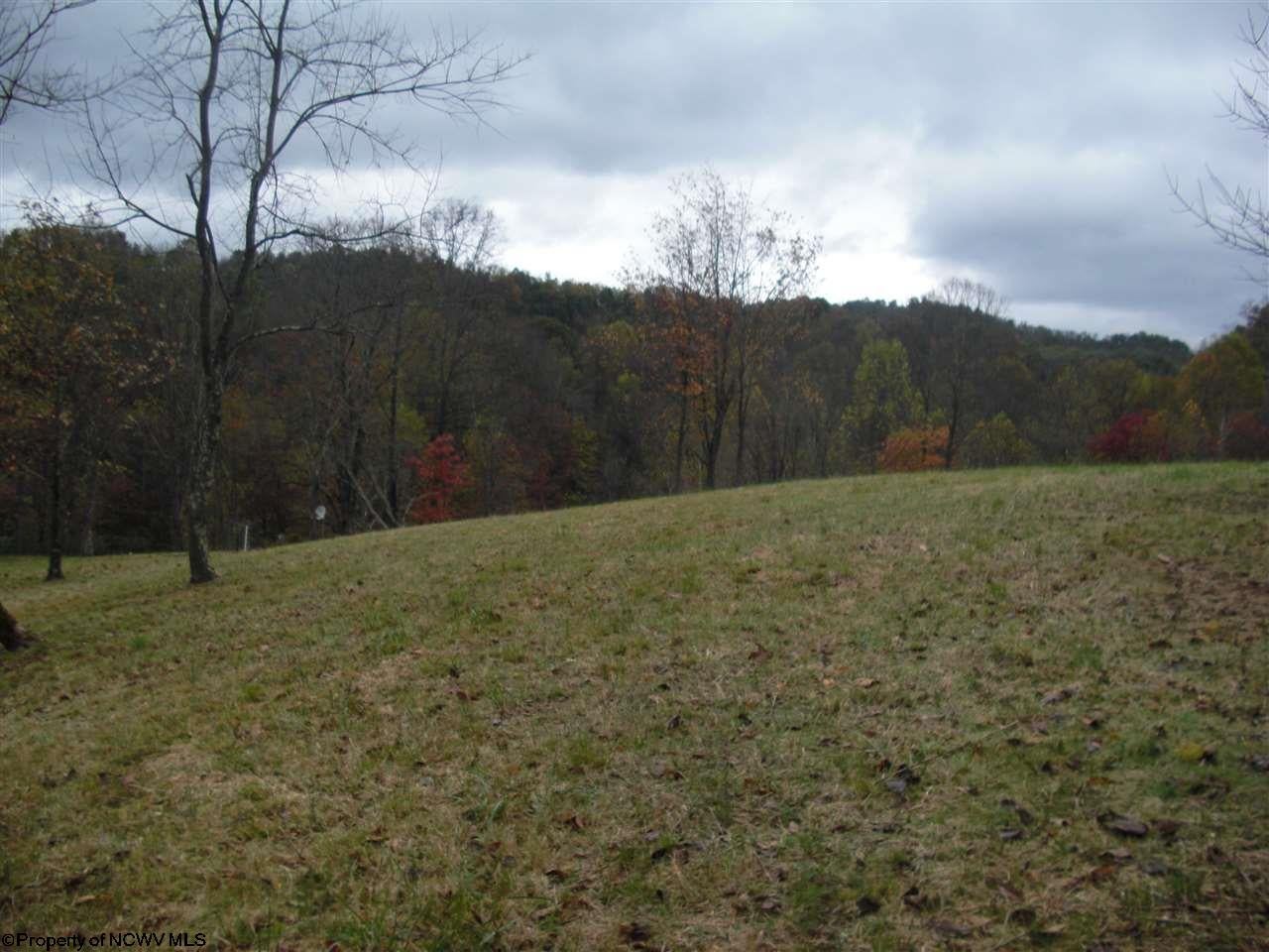 Jesse Run Jane Lew, WV 26378 - Photo 3 of 20 Gallery Image 3