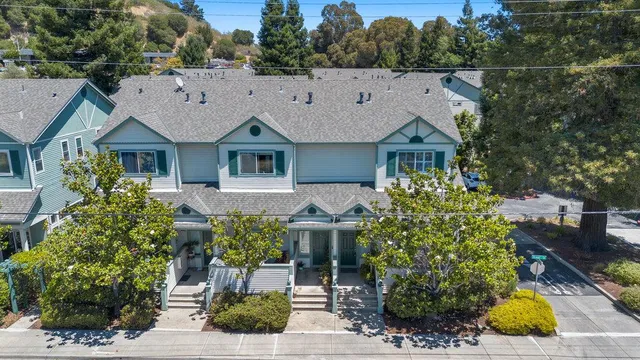 a aerial view of a house with a yard and potted plants