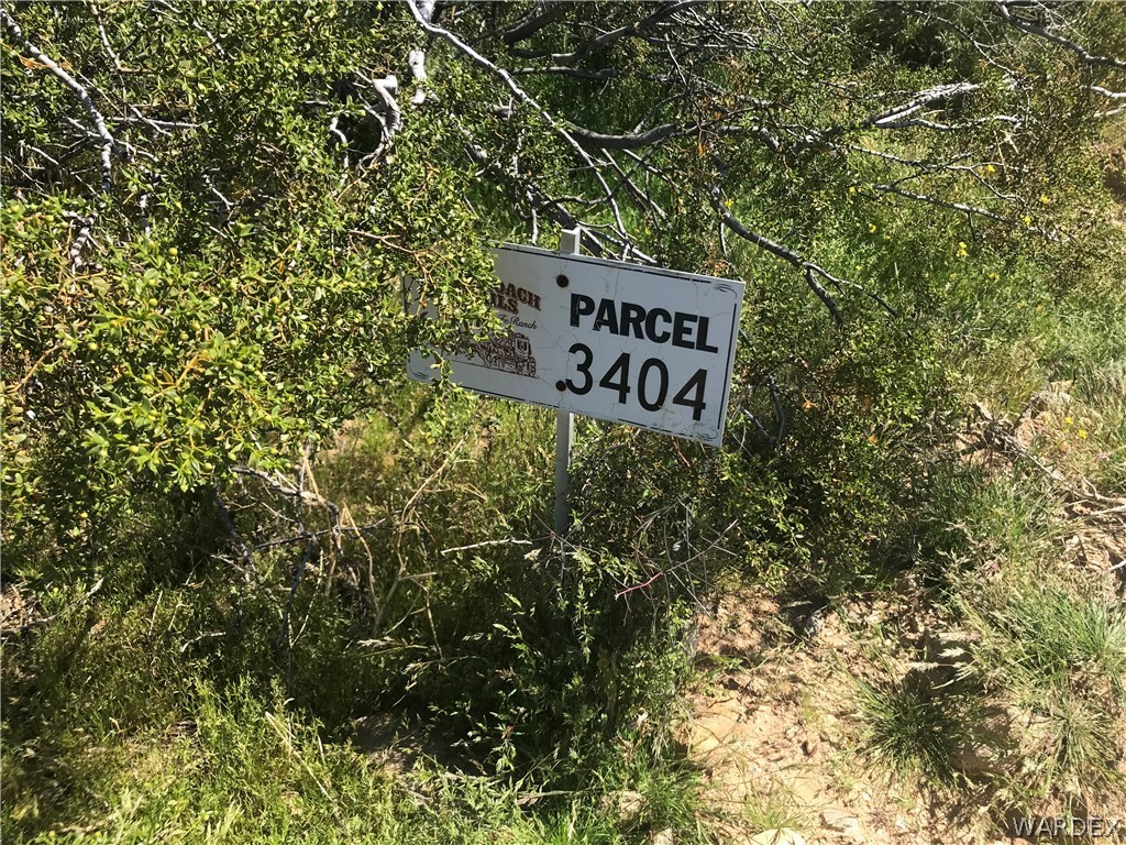 0 Parcel 3404 Lone Ranger Road Yucca, AZ 86438 - Photo 3 of 6 a sign that is sitting in front of a tree