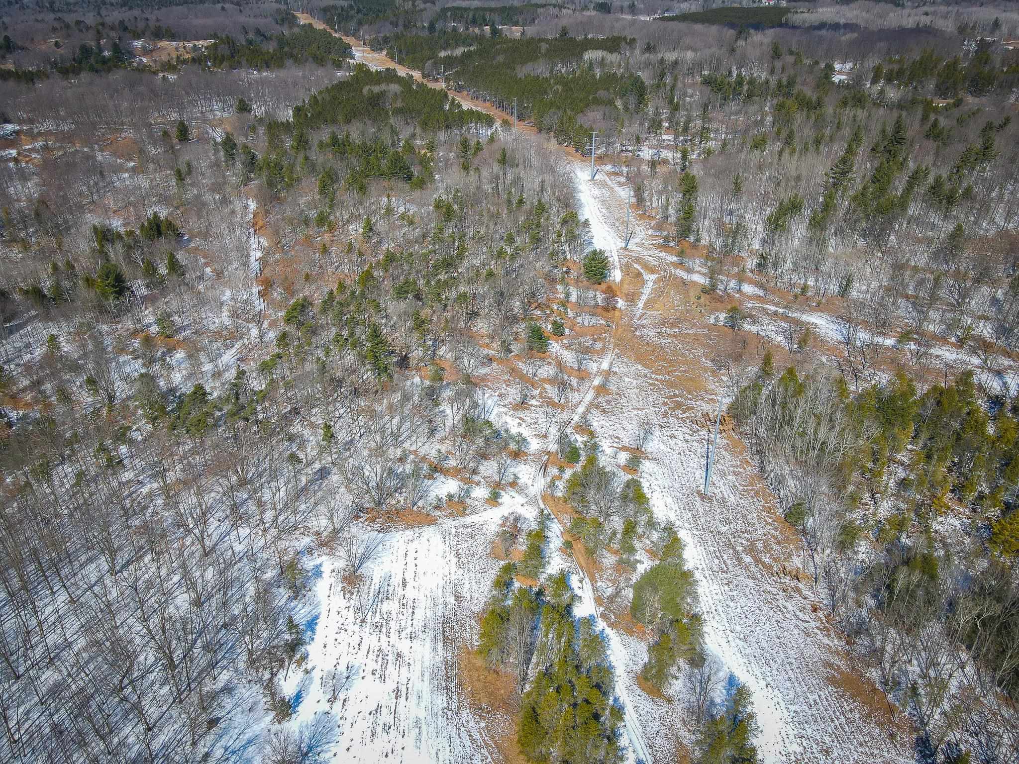0 East 3 Mile Road Luther, MI 49656 - Photo 3 of 31