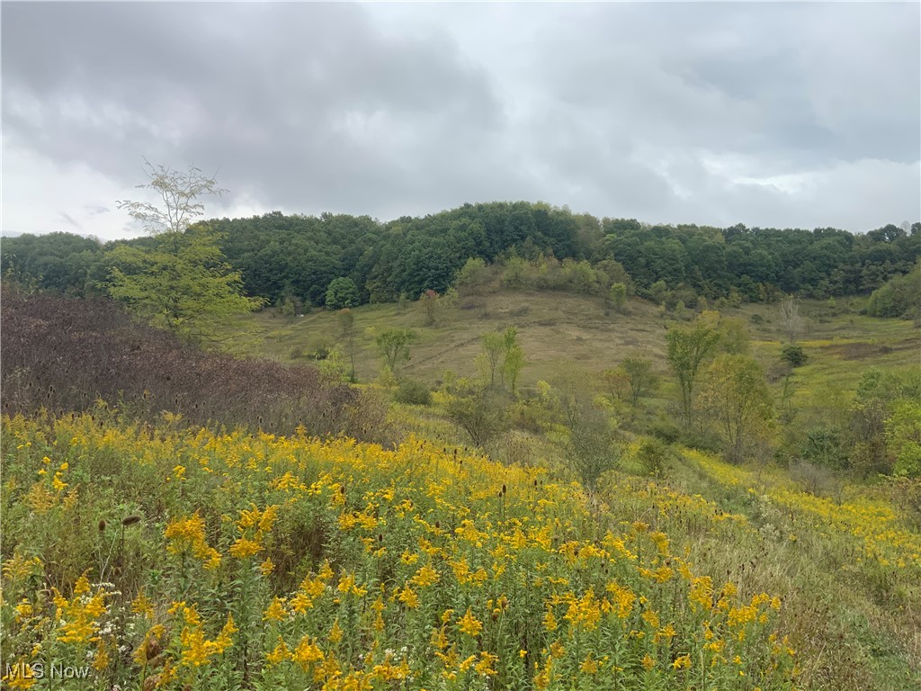 Taylor Road Dennison, OH 44621 - Photo 10 of 27 View of landscape with a forest view
