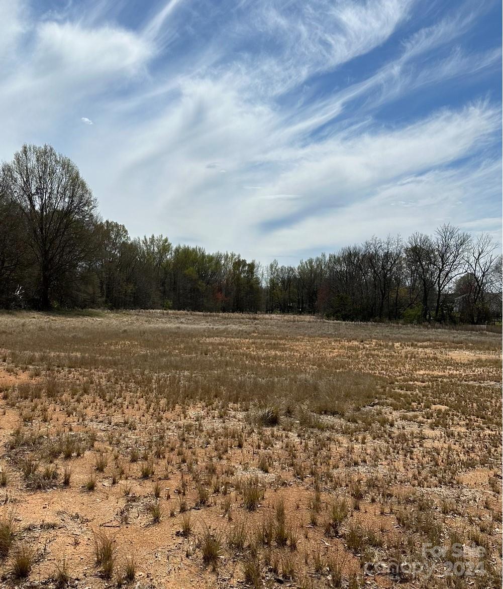 0 J C Dellinger Road Cherryville, NC 28021 - Photo 1 of 3 Gallery Image 1