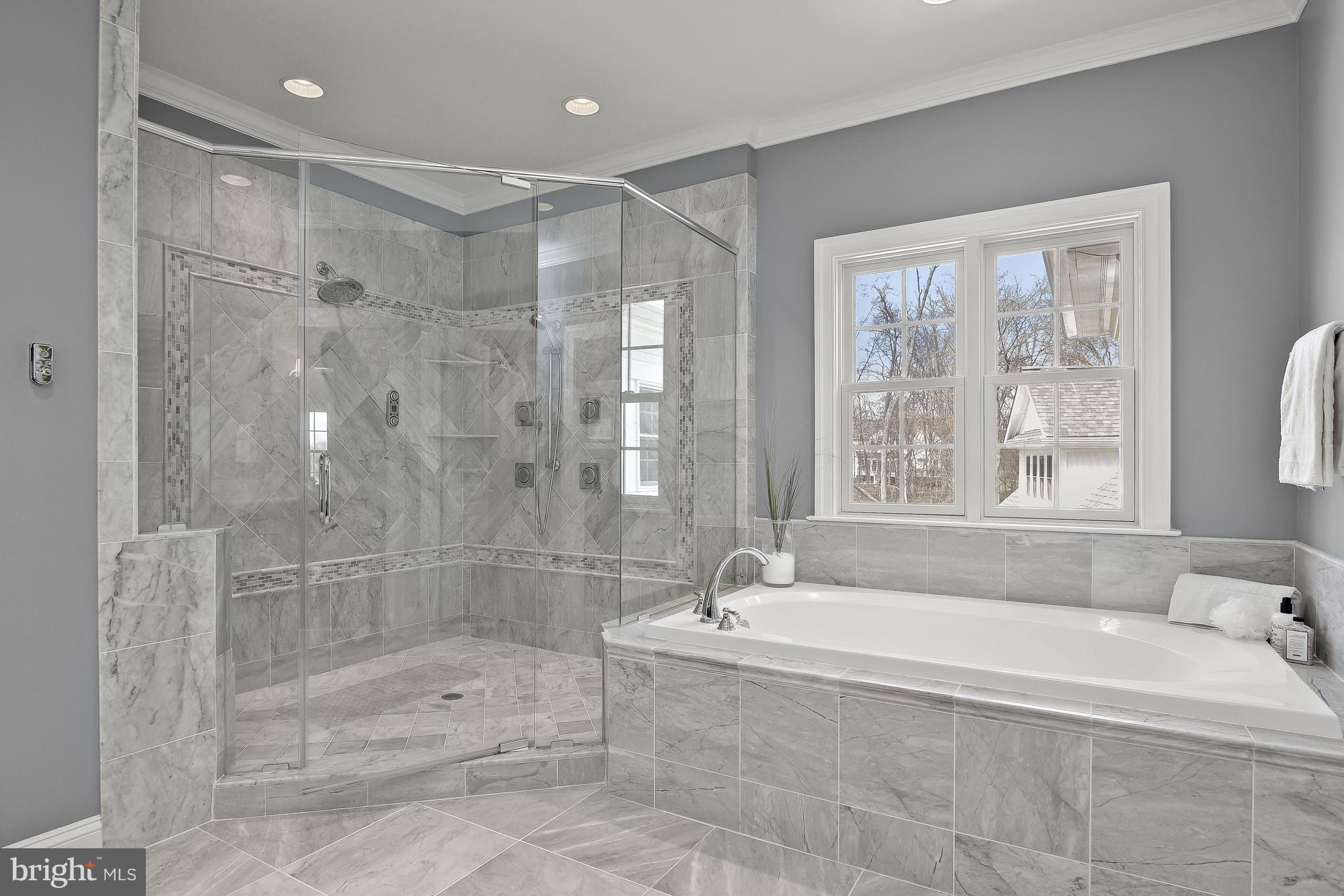 21151 Mill Branch Drive Leesburg, VA 20175 - Photo 57 of 132 Spacious Walk-in Shower & Soaking Tub