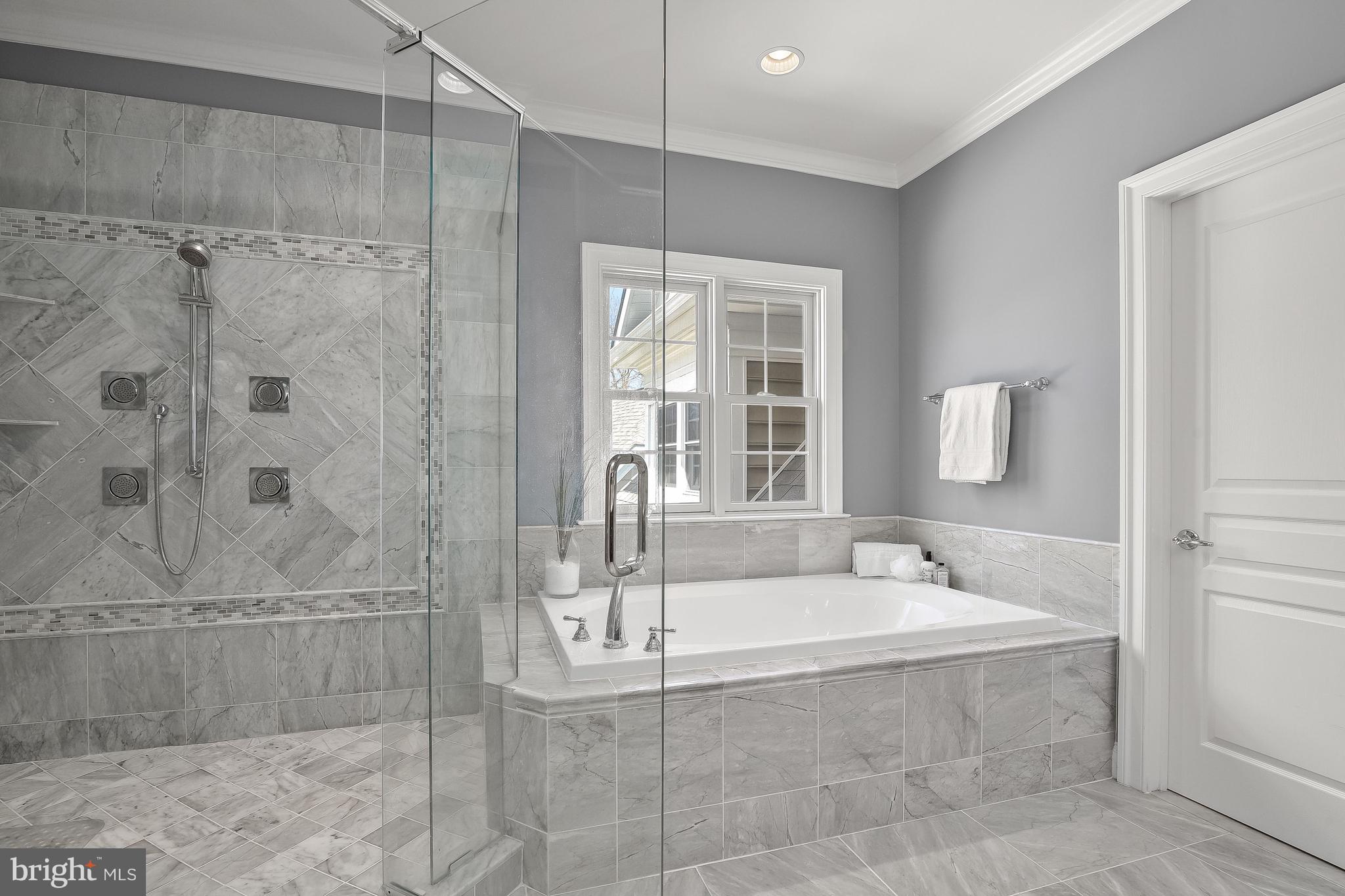 21151 Mill Branch Drive Leesburg, VA 20175 - Photo 58 of 132 Body Sprays w Remote & Door to Expansive W/I Clos