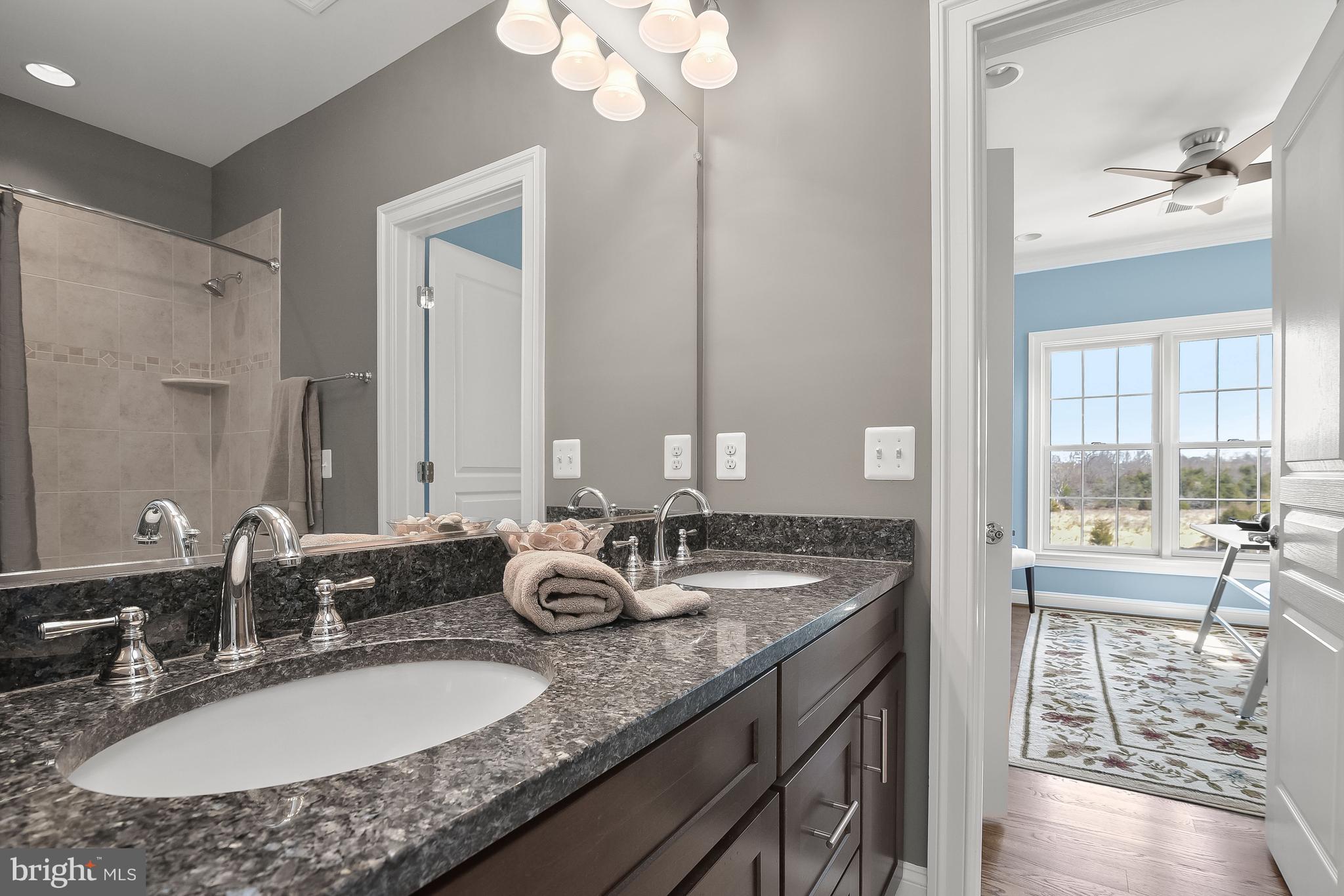 21151 Mill Branch Drive Leesburg, VA 20175 - Photo 72 of 132 a bathroom with a granite countertop sink a mirror and a bathtub