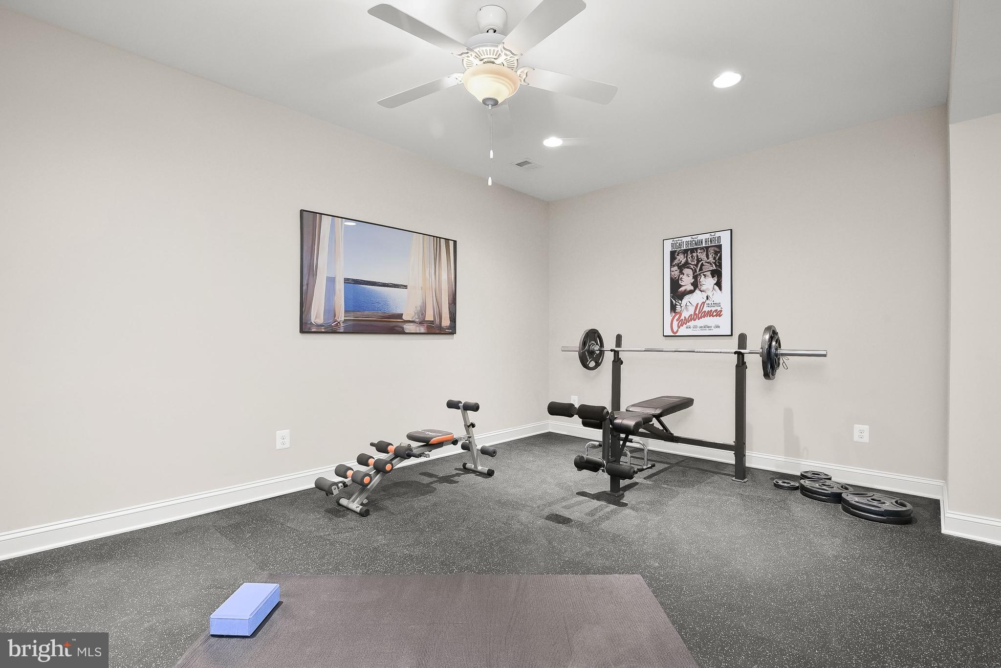 21151 Mill Branch Drive Leesburg, VA 20175 - Photo 87 of 132 Exerciser Room w Rubber Floor