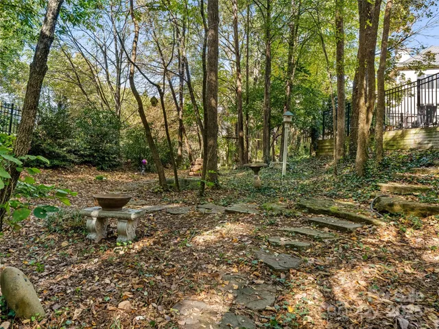 a view of a garden with trees