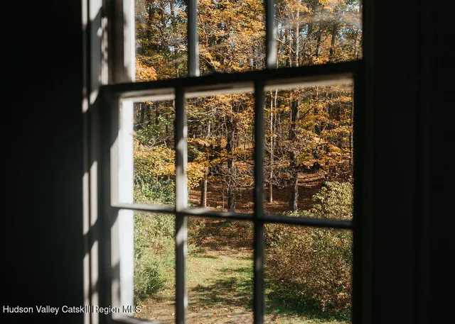 a view of a glass door with a tree