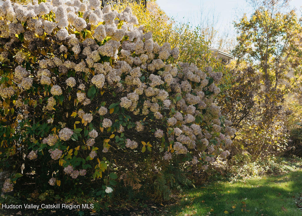 3927 Main Street Stone Ridge, NY 12484 - Photo 29 of 32 a view of a tree