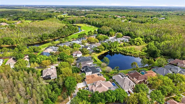 $700,000 | 18733 Chopin Drive, Lutz, FL 33558