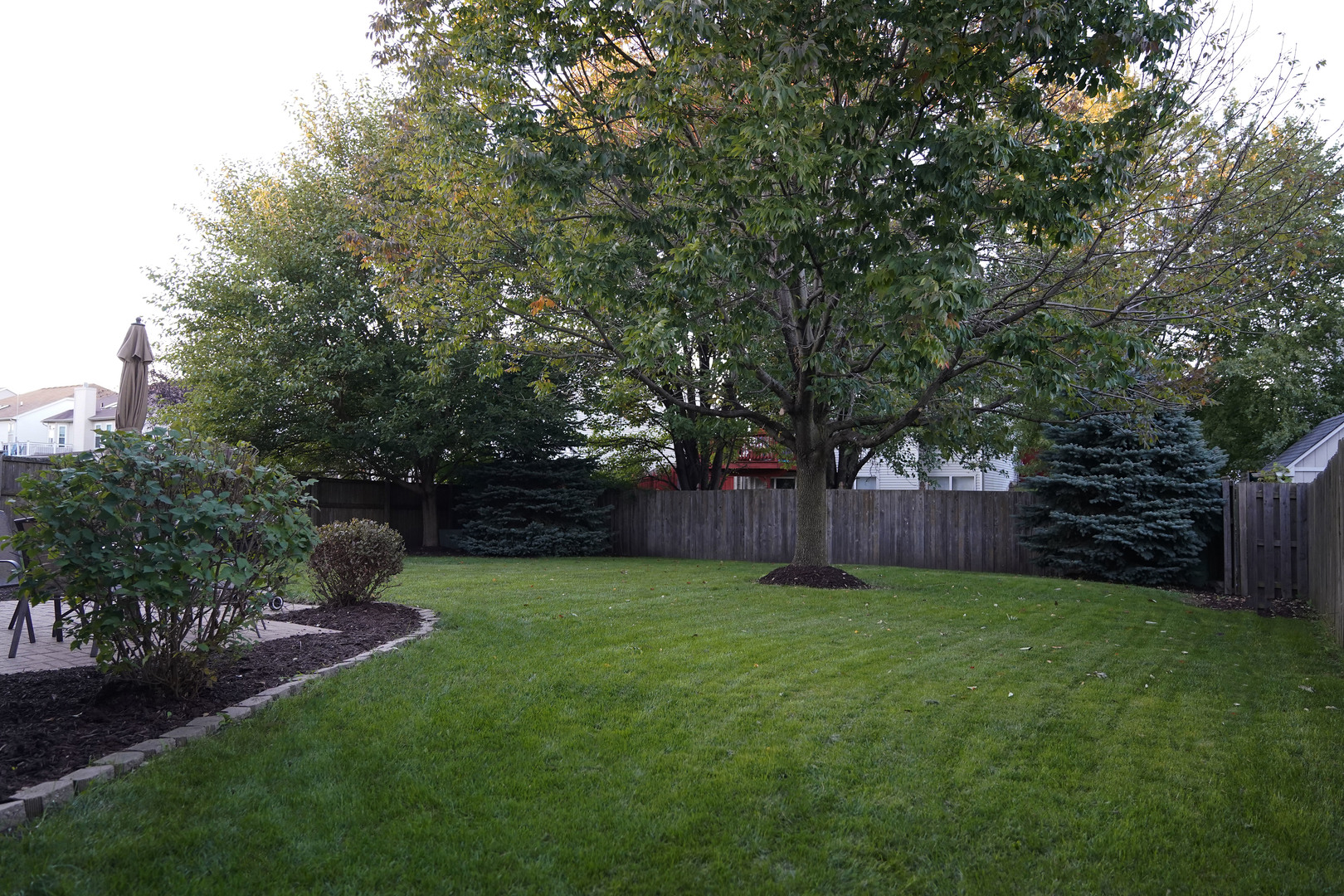 24300 White Oak Drive Plainfield, IL 60585 - Photo 12 of 32 a view of a backyard with potted plants and large trees