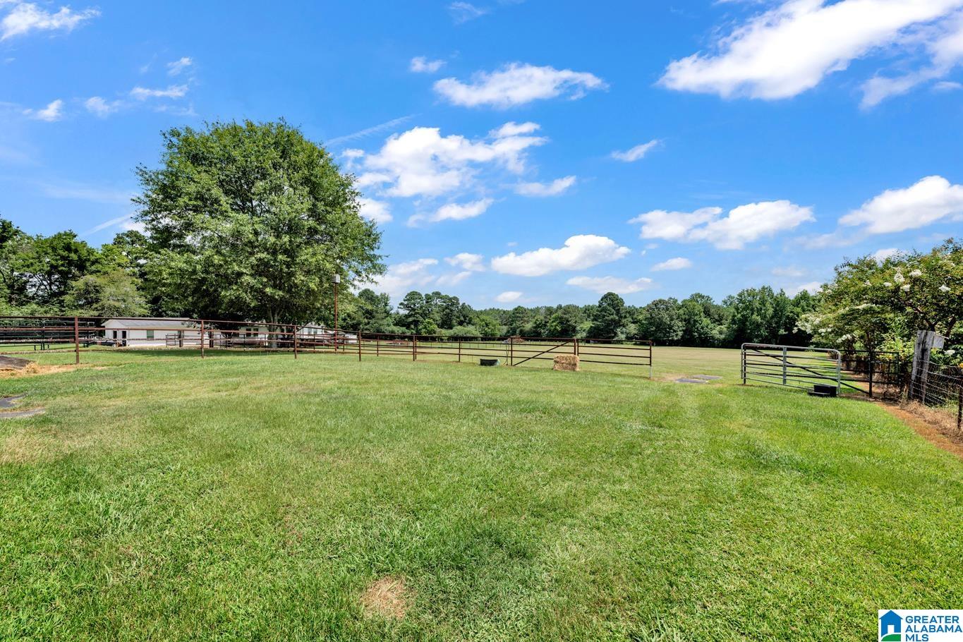 0 Mize Road, Unit 13 Remlap, AL 35133 - Photo 13 of 44
