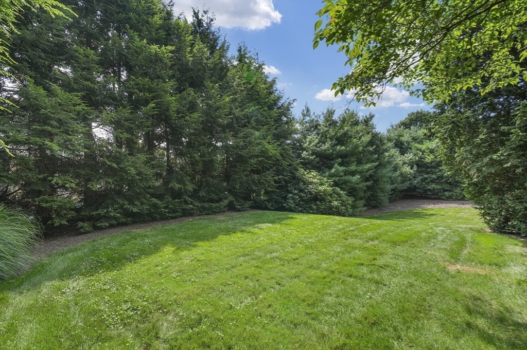 25 Locust Avenue Worcester, MA 01604 - Photo 37 of 40 Gallery Image 37