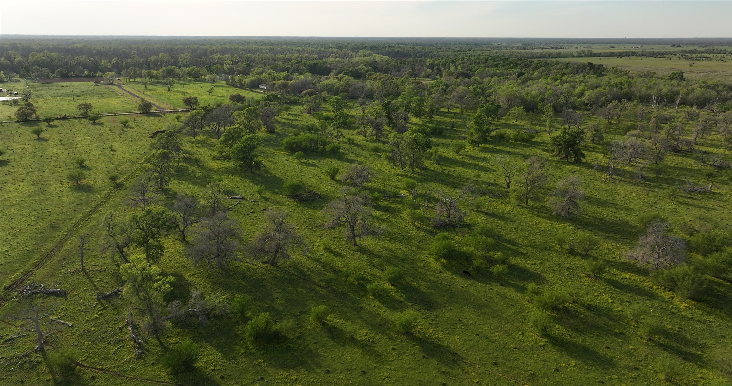 2403 Stratman Road Rosenberg, TX 77471 - Photo 12 of 25