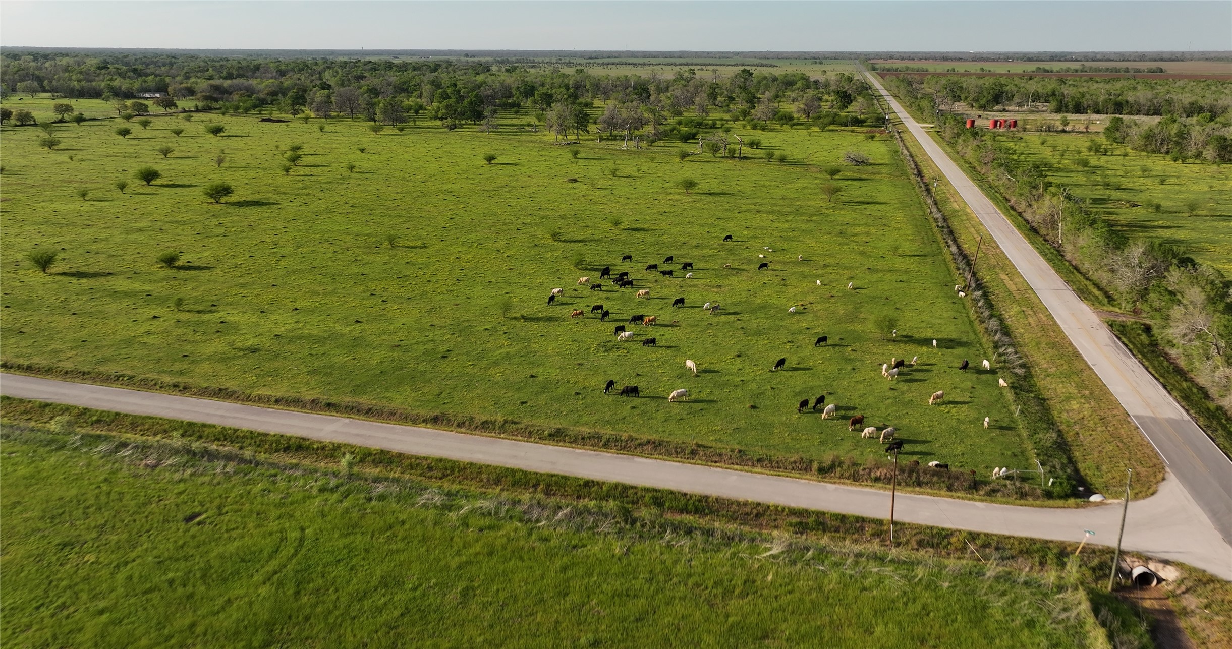 2403 Stratman Road Rosenberg, TX 77471 - Photo 15 of 25