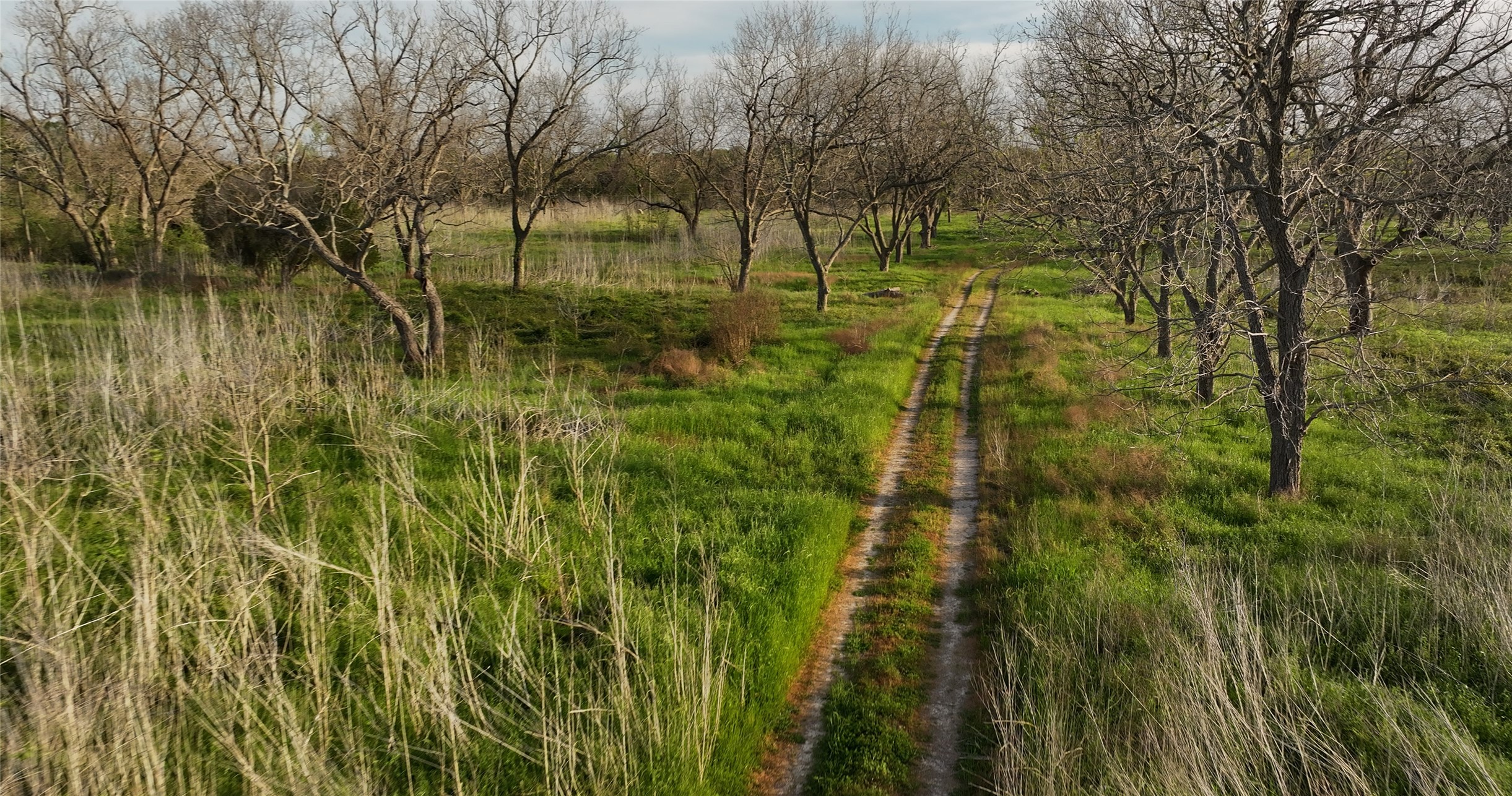 2403 Stratman Road Rosenberg, TX 77471 - Photo 22 of 25