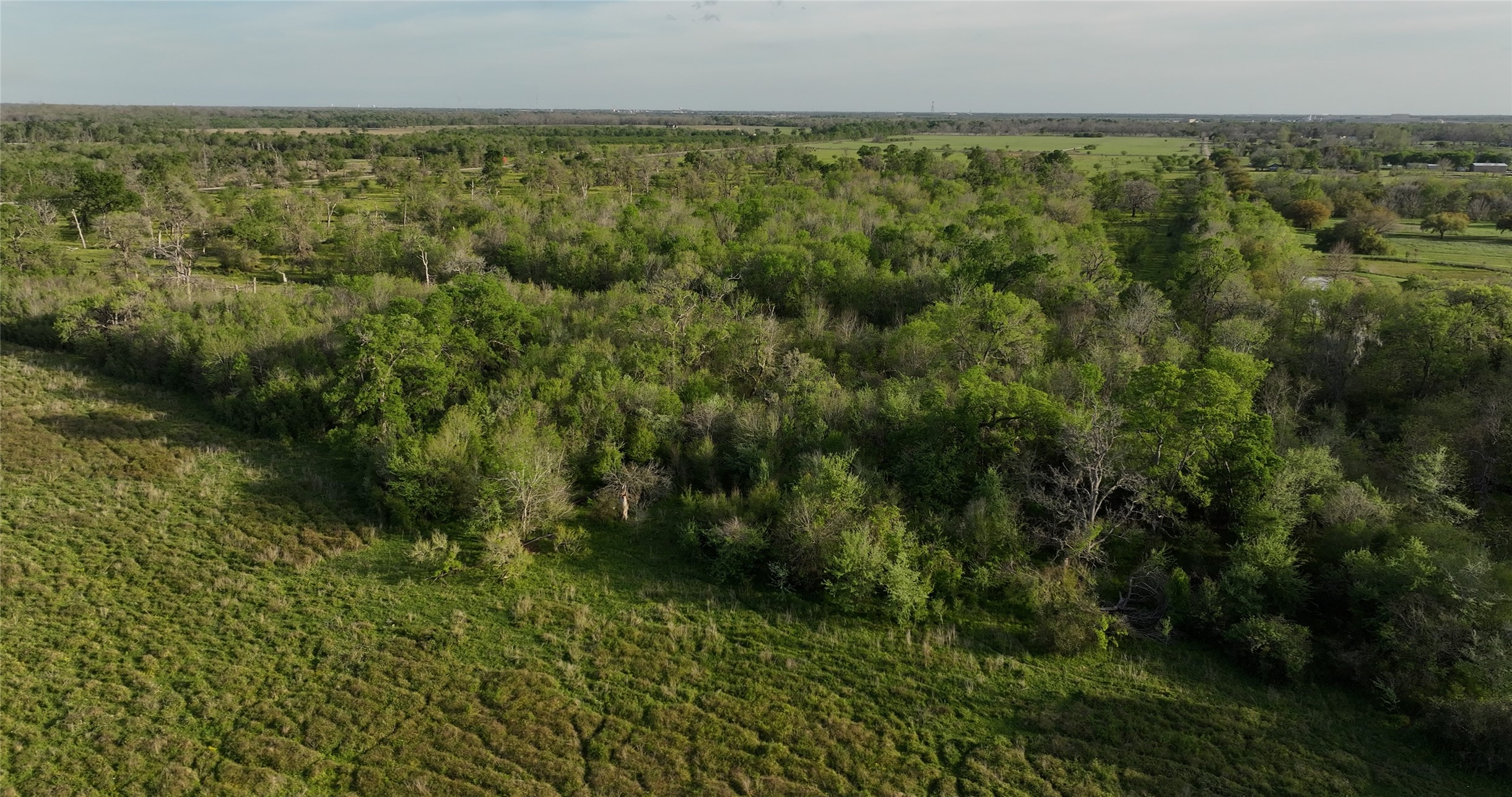 2403 Stratman Road Rosenberg, TX 77471 - Photo 10 of 25