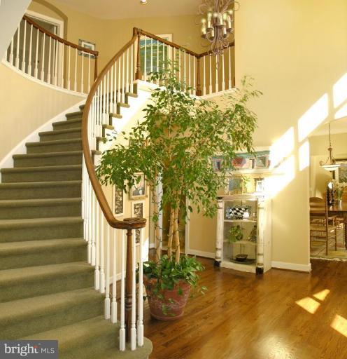 1300 Stamford Way Reston, VA 20194 - Photo 14 of 30 a view of staircase with large trees