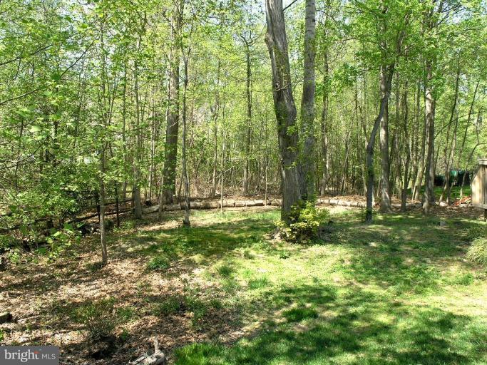 1300 Stamford Way Reston, VA 20194 - Photo 29 of 30 a view of outdoor space and a yard