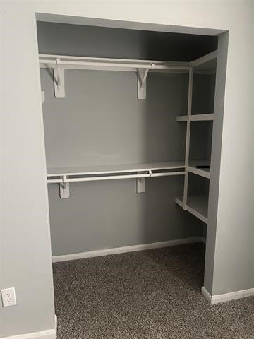 775 West Herring Street Sour Lake, TX 77659 - Photo 16 of 21 a close view of closet