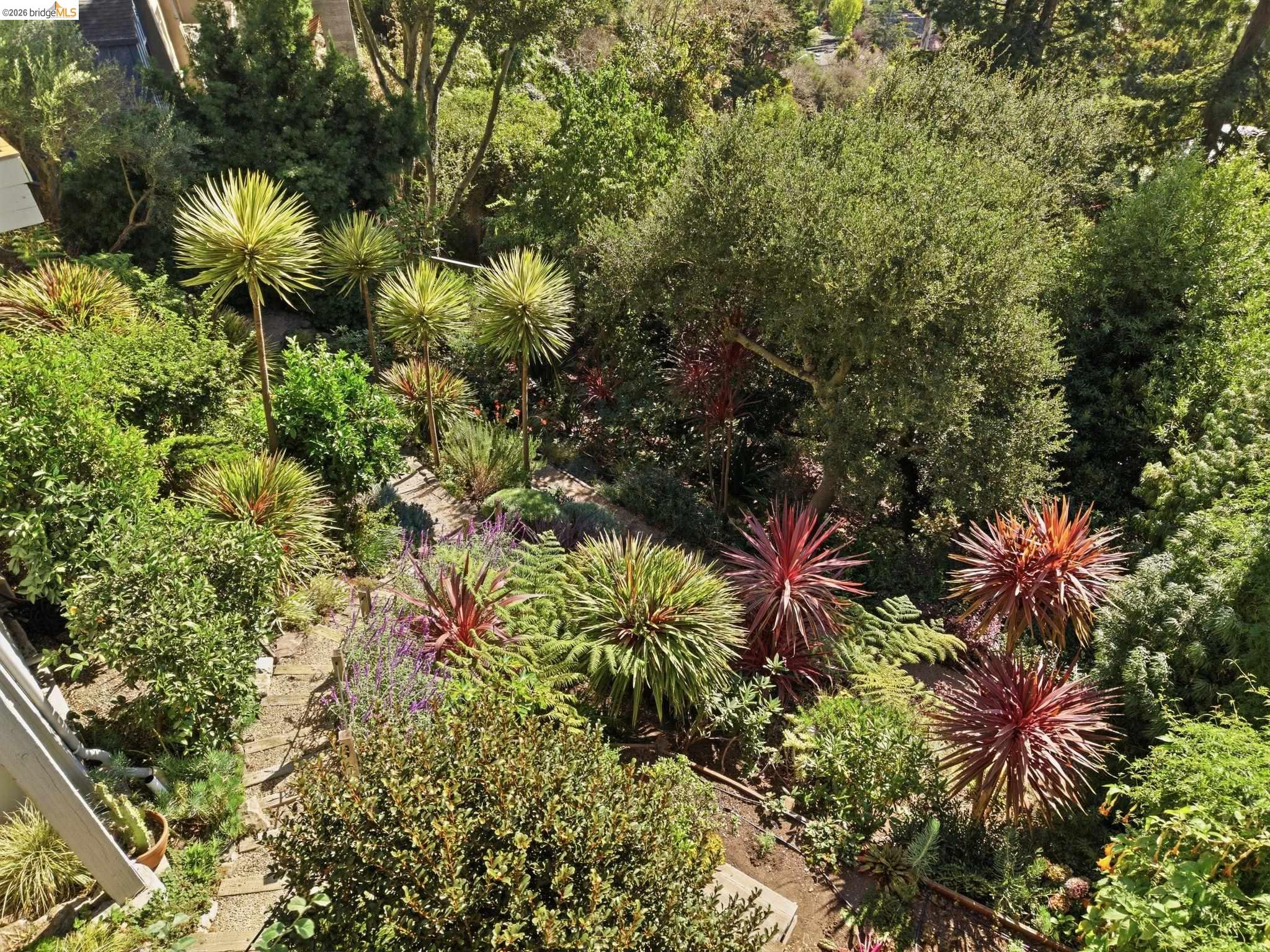 2877 Buena Vista Way Berkeley, CA 94708 - Photo 45 of 56 Gallery Image 45