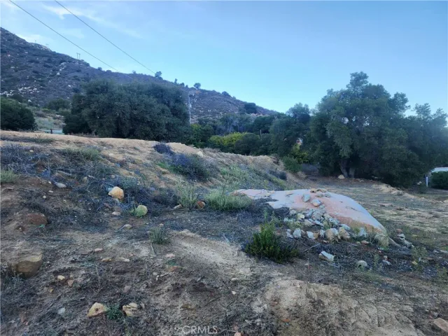 a view of a backyard with trees