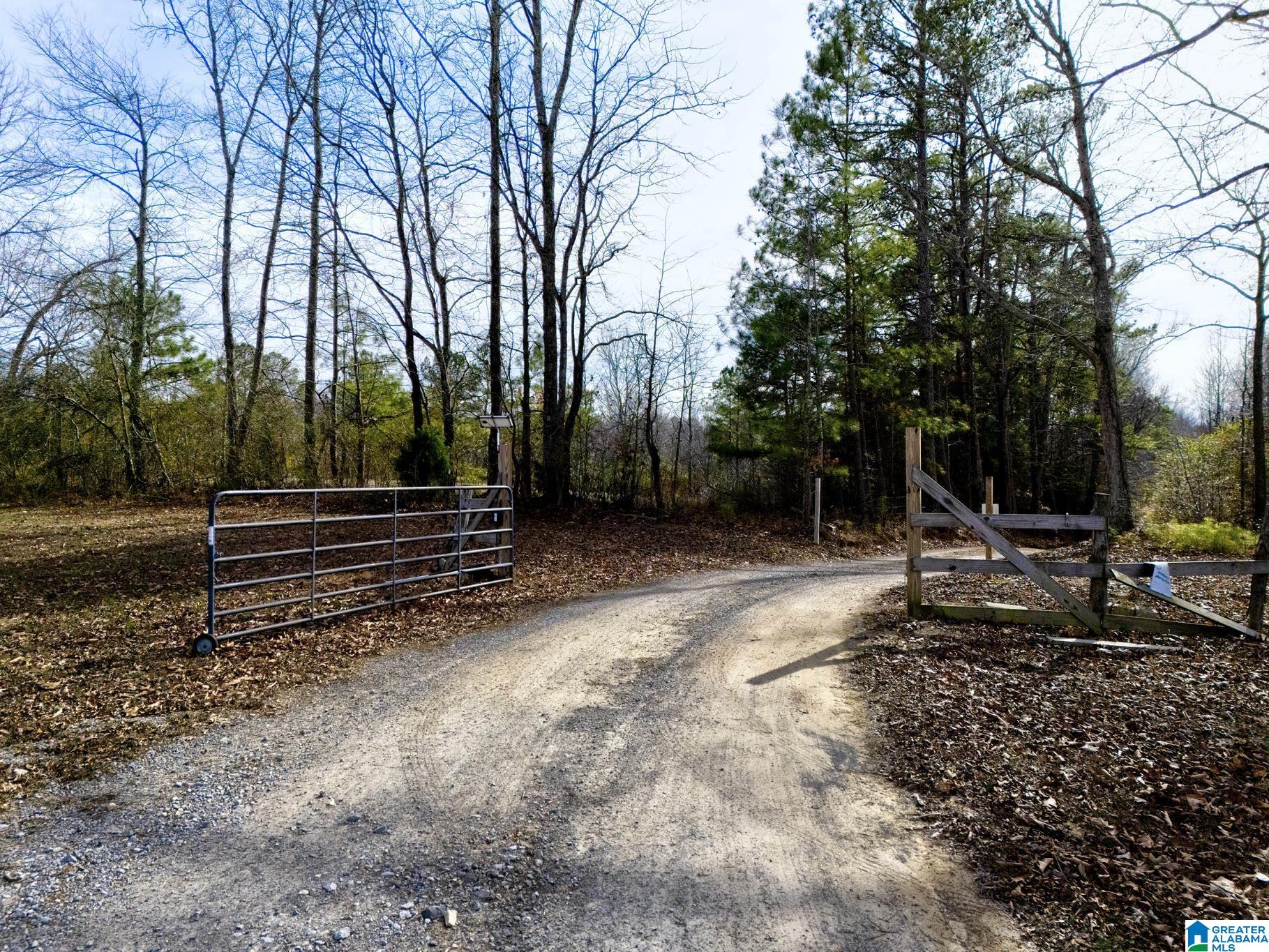 941 Hamm Road Blountsville, AL 35031 - Photo 67 of 67