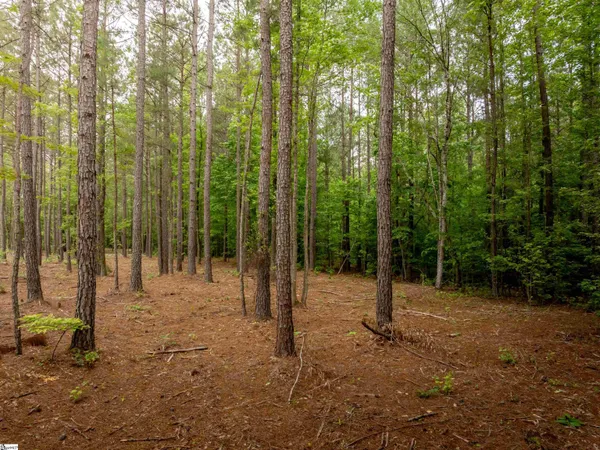 $165,000 | 0 Elford Grove Road, Unit TRACT 1, Jonesville, SC 29353