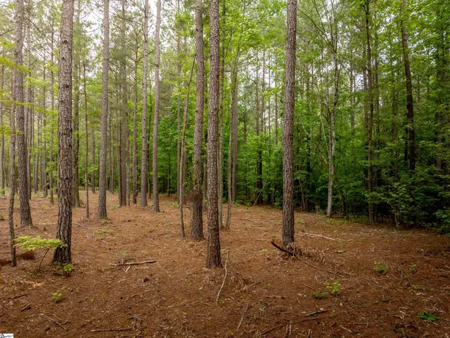 $175,000 | 0 Elford Grove Road, Unit TRACT 1, Jonesville, SC 29353