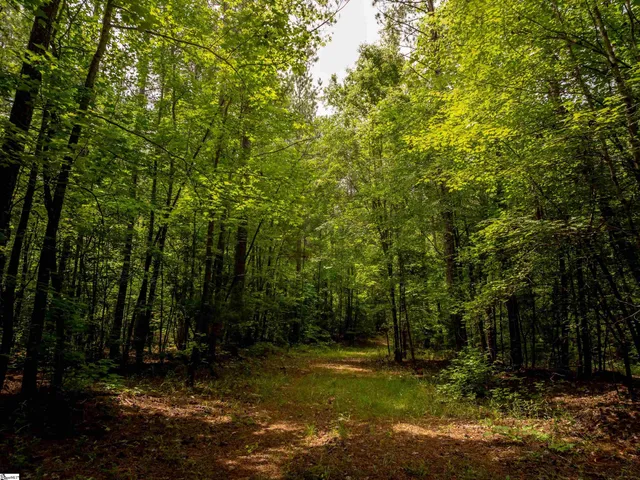 $175,000 | 0 Elford Grove Road, Unit TRACT 1, Jonesville, SC 29353