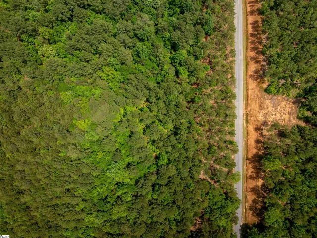 $175,000 | 0 Elford Grove Road, Unit TRACT 1, Jonesville, SC 29353