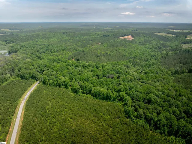 $175,000 | 0 Elford Grove Road, Unit TRACT 1, Jonesville, SC 29353