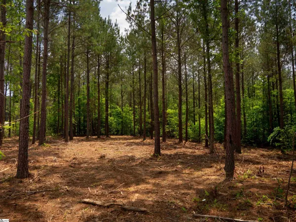 $165,000 | 0 Elford Grove Road, Unit TRACT 1, Jonesville, SC 29353