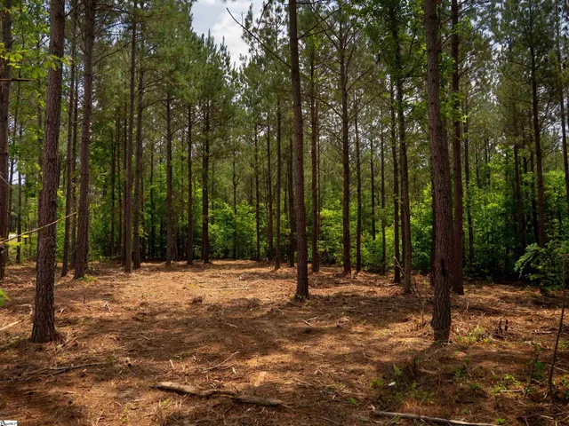 $175,000 | 0 Elford Grove Road, Unit TRACT 1, Jonesville, SC 29353