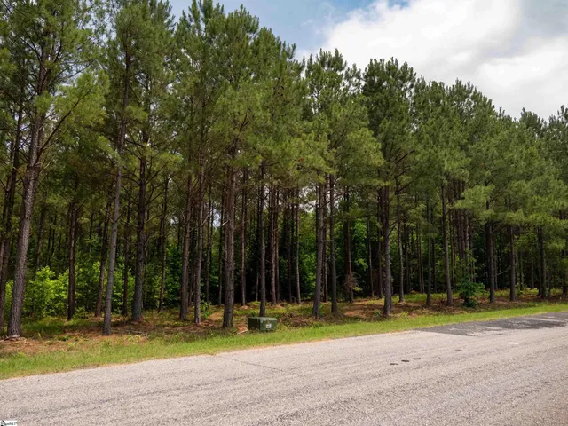 $175,000 | 0 Elford Grove Road, Unit TRACT 1, Jonesville, SC 29353