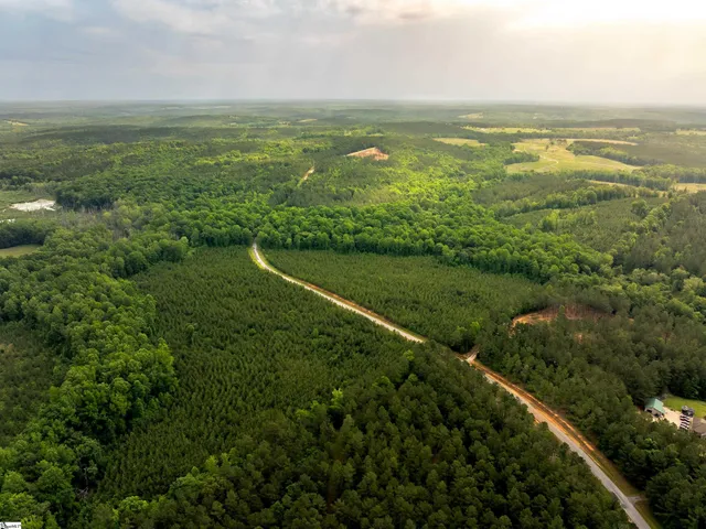 $175,000 | 0 Elford Grove Road, Unit TRACT 1, Jonesville, SC 29353