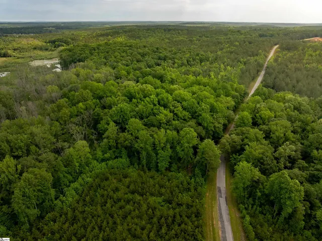 $175,000 | 0 Elford Grove Road, Unit TRACT 1, Jonesville, SC 29353