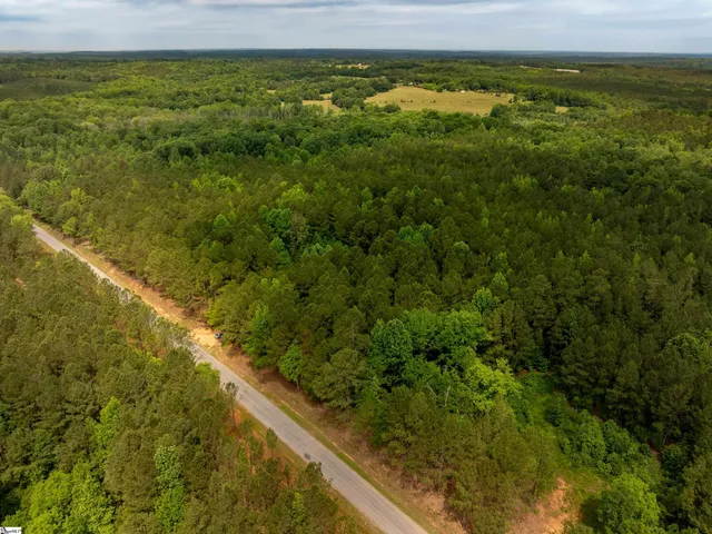 $175,000 | 0 Elford Grove Road, Unit TRACT 1, Jonesville, SC 29353