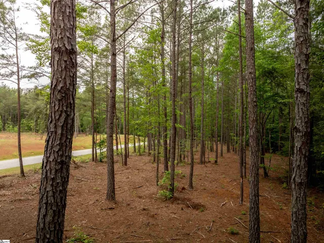 $175,000 | 0 Elford Grove Road, Unit TRACT 1, Jonesville, SC 29353