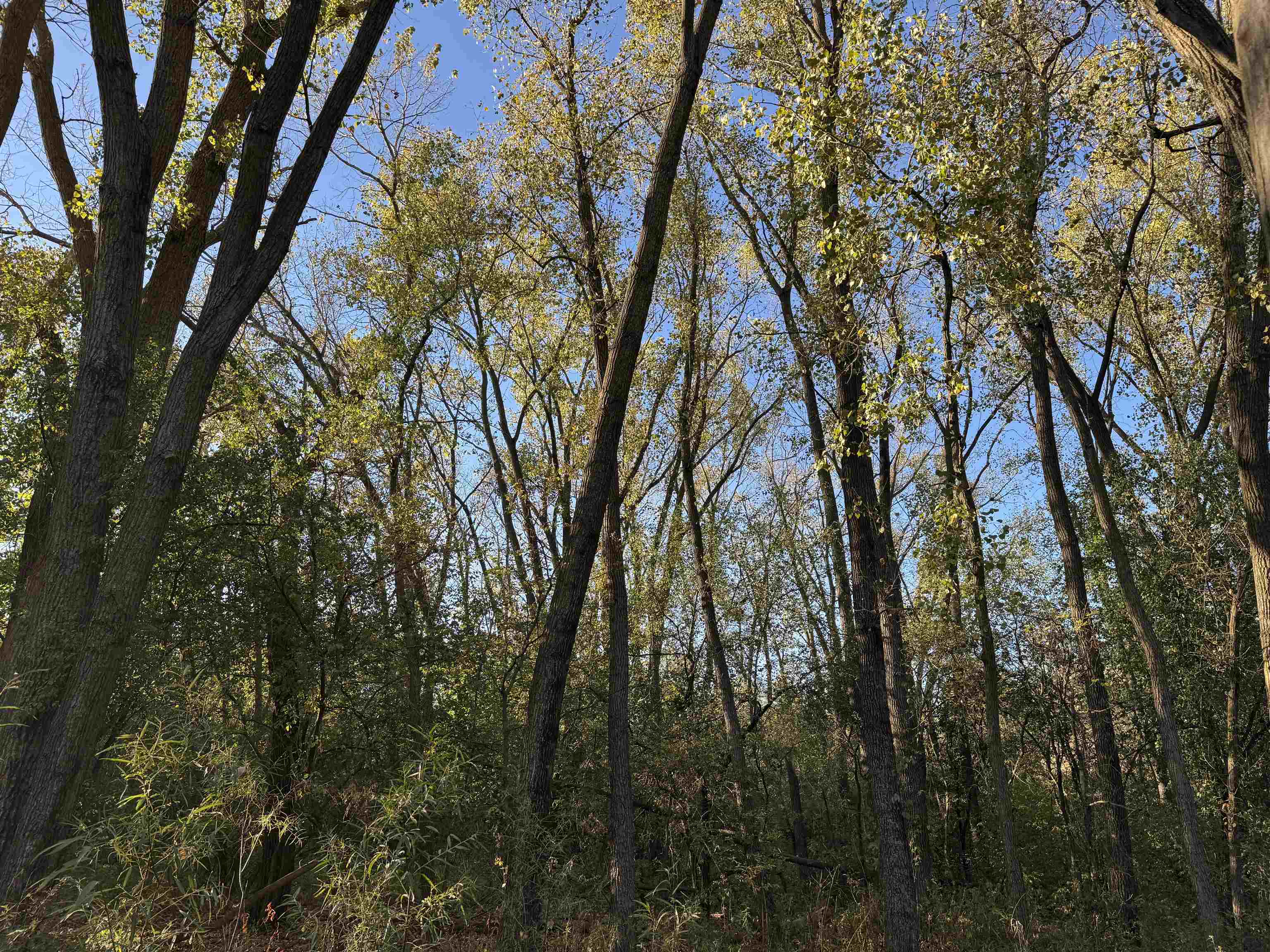 2495 County Road O Shullsburg, WI 53586 - Photo 11 of 27