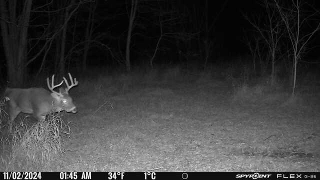 2495 County Road O Shullsburg, WI 53586 - Photo 22 of 27