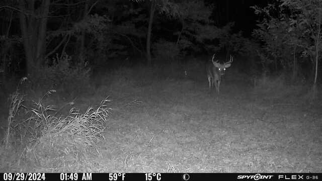 2495 County Road O Shullsburg, WI 53586 - Photo 23 of 27