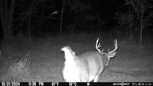 $214,900 | 2495 County Road O, Shullsburg, WI 53586