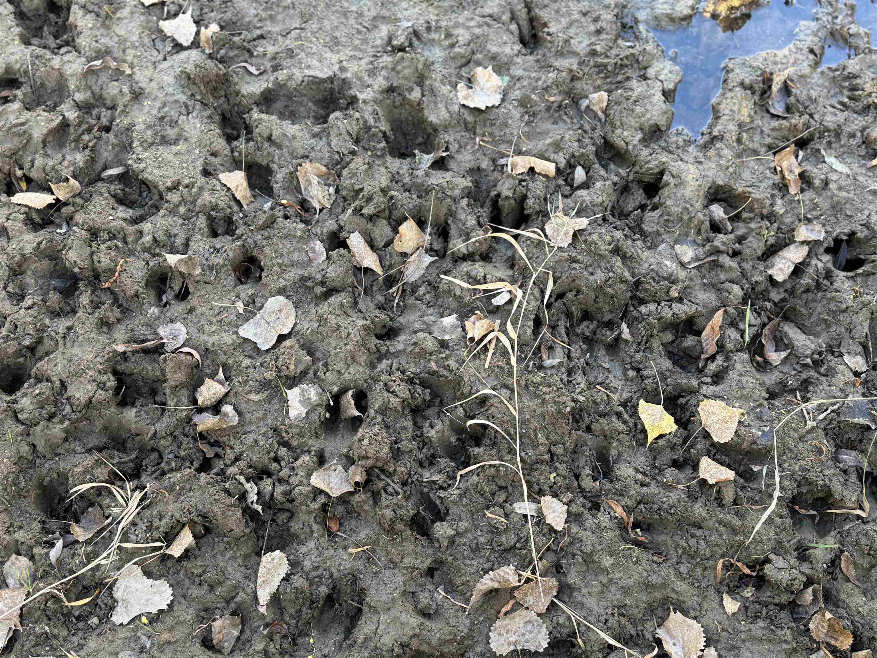 2495 County Road O Shullsburg, WI 53586 - Photo 7 of 27