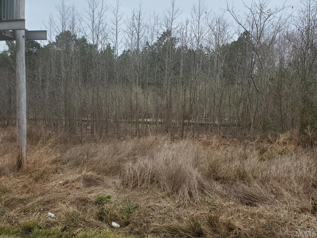 0 Paige Riddick Road Gates, NC 27937 - Photo 3 of 6