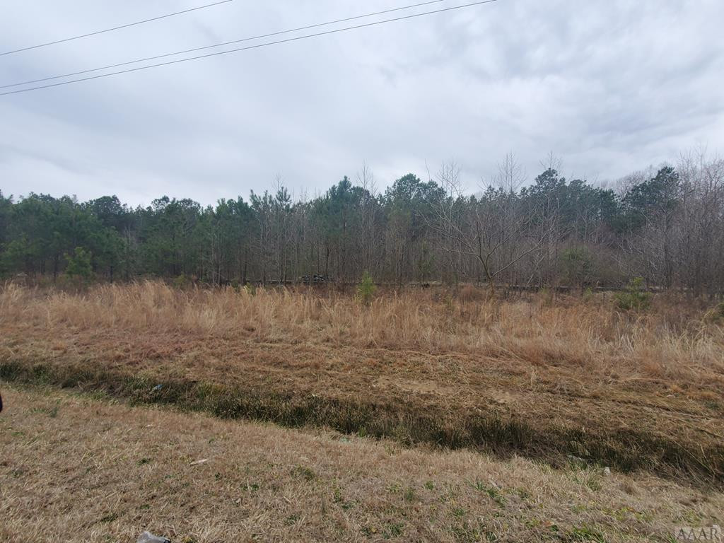 0 Paige Riddick Road Gates, NC 27937 - Photo 4 of 6